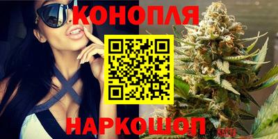 спайс Кандалакша