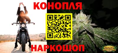 твердый Камышлов
