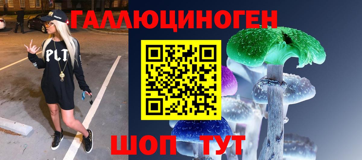 Галлюциногенные грибы Psilocybe Ковров