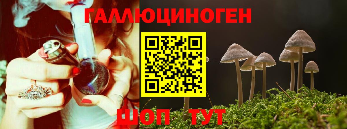 Псилоцибиновые грибы ЛСД  Вход с VPN  Ковров 